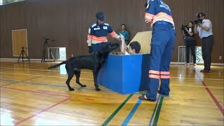 殺処分対象の犬を「災害救助犬」に…小学生が働きぶりを学ぶ　岡山・新見市