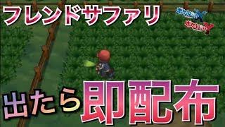 出たら即配布！　フレンドサファリで色厳選！【ポケモンｘｙ】