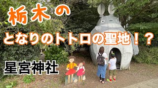 【星宮神社】栃木でトトロに出会える神社⛩行ってみたらひまわり畑も広がっていた。