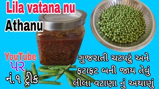 ગુજરાતી ચટપટું અને ફટાફટ બની જાય છે સરળ વટાણાનું અથાણું | લીલા વતન નુ અથાનુ |