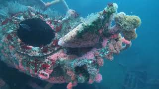 San Diego Wreck Alley Dives 2022 - HMCS Yukon and Ruby E