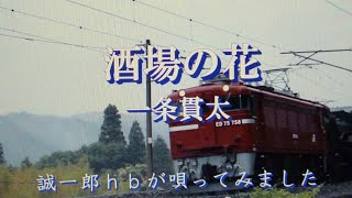 酒場の花／一条貫太 ／  誠一郎ｈｂが唄ってみました。2021年6月16日発売。