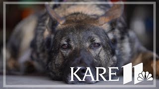 Family of fallen Fargo officer supports Minnesota nonprofit that trains service dogs