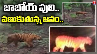 Fear Grips Villagers After Tiger Spotted in Bhupalpally | T News