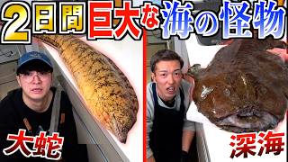 【2日間】『ウツボvsアンコウ』海の怪物捌いて生活！？深海魚vs海のギャング