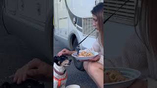 Solo Female #vanlife with a Dog