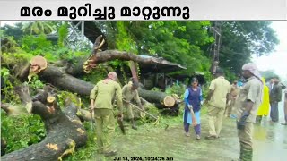 പാലക്കാട്‌ മുനിസിപ്പൽ ബസ് സ്റ്റാൻഡിന് മുന്നിൽ വൻ മരം വീണ് ഗതാഗതം തടസ്സപ്പെട്ടു