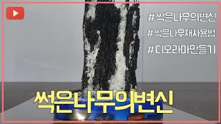 DIy 썩은나무의변신 레진과 썩은나무의재사용법,나만의만드는노하우로.폭포디오라마만들기