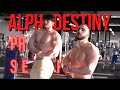 TRAINING WITH AN ALPHA  (FEAT. ALPHADESTINY)