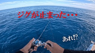 丹後で秋のジギング合宿！！！エギングでアオリイカも狙うぜ～！！！