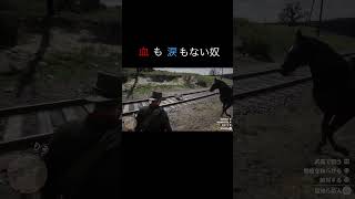 血も涙もない奴　#rdr2 #ゲーム #レッドデッドリデンプション2 #撮り鉄