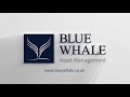 peter hargreaves i how will blue whale help you as an investor