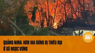 Cháy hơn 1ha rừng ở xã đảo Ngọc Vừng, tỉnh Quảng Ninh | Toàn cảnh 24h