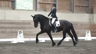 Xanadu ISF, by Ulbert 390, Sport - Developing Friesian Dressage Horse - June 2022