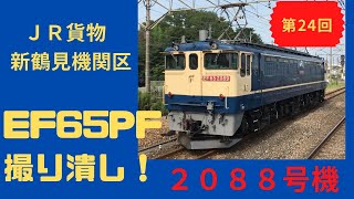 【EF65-2088】第24回 新鶴見機関区 EF65PF 撮り潰し