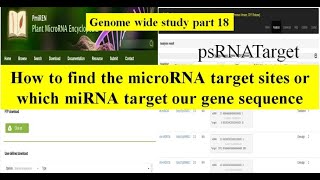 Genome wide study Part 18 | miRNA | How to find the microRNA target sites | putative microRNA