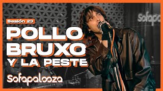 Pollo Bruxo y La Peste - Sofapalooza