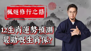 2025 年十二生肖流年運勢2.0！就算唔犯太歲，運勢就一定大好？！同一個生肖但唔同季節出世嘅人，運勢完全唔一樣！財運、事業、健康、感情方面嘅實用運勢指南嚟喇 #生肖運勢 #楓燧大師兄 #楓燧堂