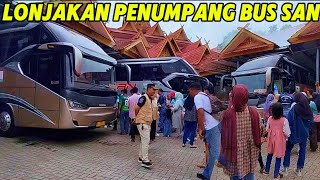 Fenomena Bus SAN Tetap Penuh di Tengah Persaingan Ketat PO Lain