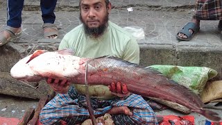 KASIMEDU🔥 SELVAM🔥 AMAZING 22KG WEIGHT GIANT SIZE BOAL ATTU FISH CUTTING SKILL 4K VIDEO