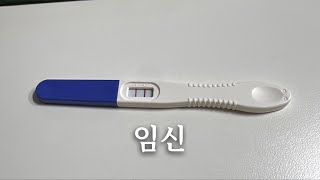 임신극초기 배란9일차 임신테스트기 2줄 확인 ~ 배란 13일 hcg 피검사 수치 임밍아웃에 남편반응