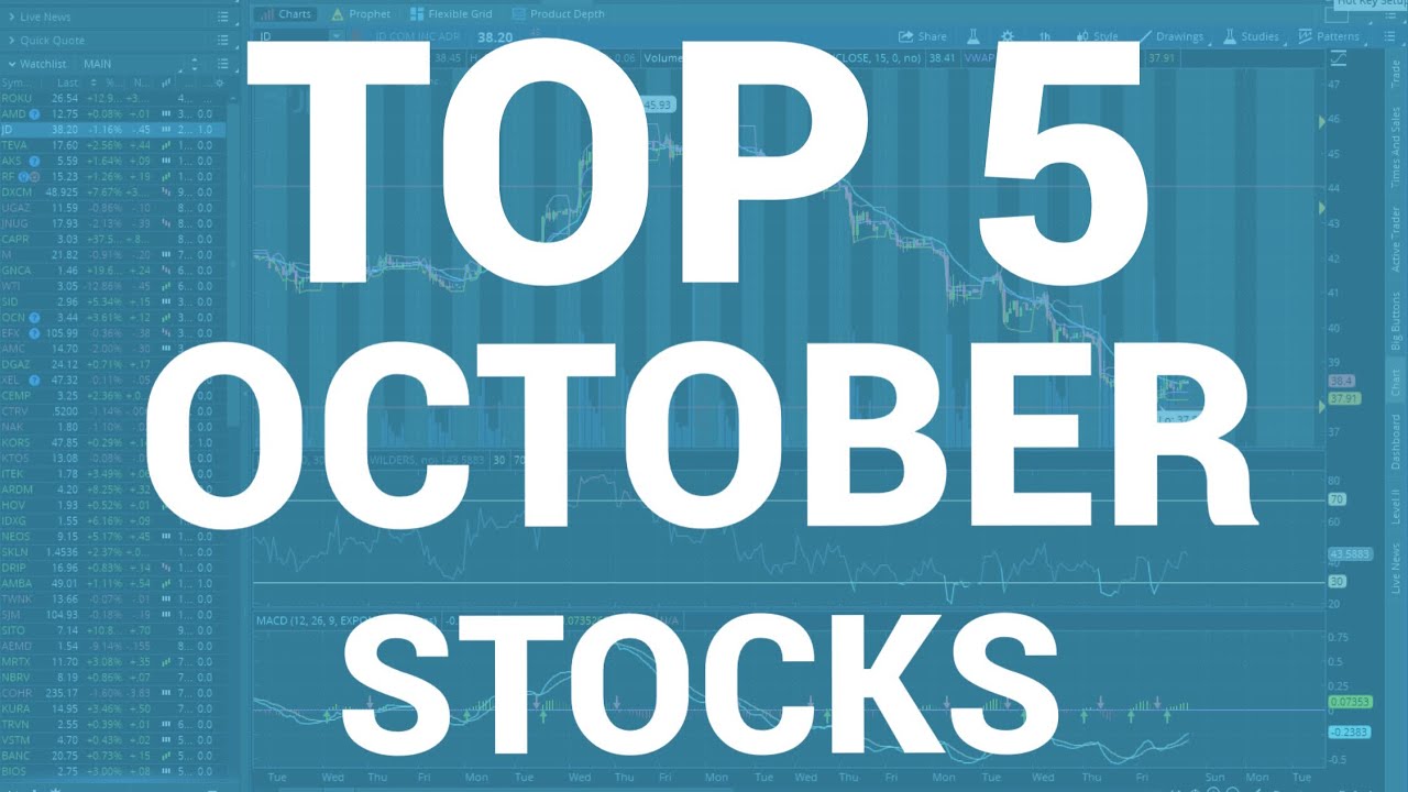 The Top 5 Best Stocks For October 2017 | Day Trading 101 - YouTube