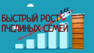 БЫСТРО УВЕЛИЧИТЬ СИЛУ СЕМЕЙ ВЕСНОЙ