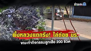 ผึ้งหลวงแตกรัง! ไล่ต่อย นร. ขณะทำกิจกรรมลูกเสีย 200 ชีวิต