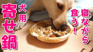 【保護犬りゅうのすけ】犬用「寄せ鍋」を食べさせたら！こうなりました