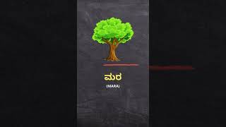 ಮರ (mara) = Tree | Kannada to English