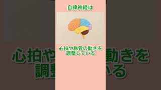 夜寝る前の心臓がバクバクする動悸の治し方  #自律神経 #自律神経失調症 #自律神経を整える #セルフケア #ツボ #動悸  #寝る前 #息切れ