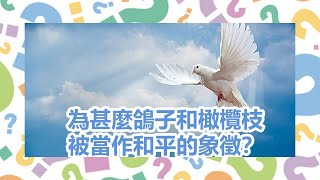 【十萬個為甚麼】為甚麼鴿子和橄欖枝被當作和平的象徵？