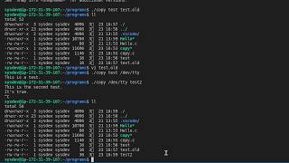 (System Programming) (Practice Step by Step) Writing Copy Program on Linux using Visual Studio Code