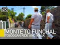 Madeira, Portugal | Monte to Funchal basket ride and walk with captions