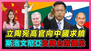 立陶宛高官向中國求饒！｜斯洛文尼亞支持台灣捱批！｜中國外交部：台灣邦交國清零是早晚的事！【屈姬主播 EP46】