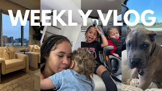 weekly vlog! we got a puppy+Life update+solar eclipse+kitchen organization+kids