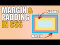 MARGIN VS PADDING in CSS