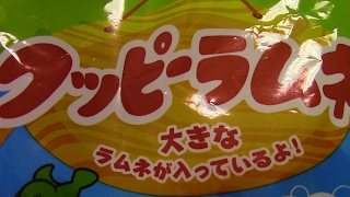 【大坊お気に入り！】今日はだいぼーが大好きな「クッピーラムネ」を紹介します！