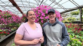 When Is It Really Safe To Plant Outside Avoid This Common Spring Mistake