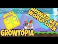 GROWTOPIA | HOW TO GET WORLD LOCK FAST AND EASY | ICYGUAVA GT /w BADGEHERO