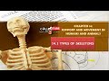 BIOLOGY KSSM FORM 4: 14.1 TYPES OF SKELETONS