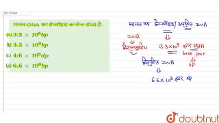 मानव DNA का हेप्लॉइड कन्टेन्ट होता है- | 12 | अभ्यास प्रश्न-पत्र 3 | BIOLOGY | NCERT FINGERTIPS ...