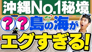 島全体が世界自然遺産！水中写真家が通う〇〇島のもりもりサンゴがスゴイ！