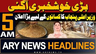 ARY News 5 AM Headlines 17th May 2024 | Good News - CM Punjab announces Rs400bn package for farmers