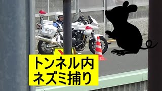 【スピード取り締まり】トンネルを抜けるとそこはネズミ捕りのサイン会場だった (練馬トンネル外回り)