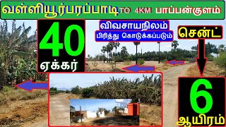 வள்ளியூர் பரப்பாடி To 4 km பாப்பன்குளம் 40 ஏக்கர் விவசாயநிலம்.சென்ட் 6 ஆயிரம்.ரோடு-537-021.08.12