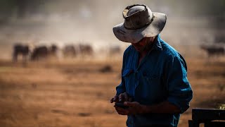 ‘Absolutely blindsided’: Uproar over reduced water harvesting rights in NSW