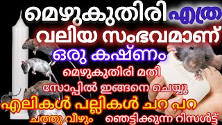 ഒരു കഷ്ണം മെഴുകുതിരി ഉണ്ടോ എലികൾ പല്ലികൾ വരിവരിയായി ചത്ത് വീഴുംpowerful  Repellent Tips in malayalam