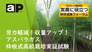 【営農に役立つ研究成果フォーラム】労力軽減！収量アップ！アスパラガス枠板式高畝栽培実証試験