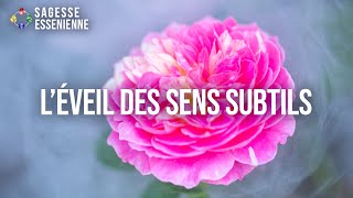 Le secret de l’éveil des sens subtils